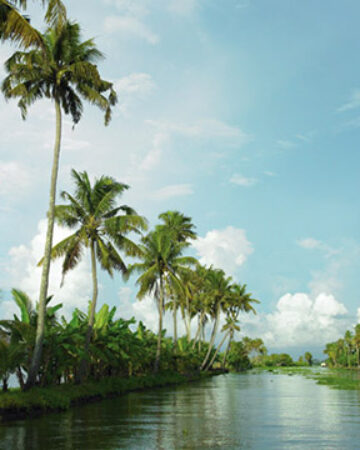 Alappuzha 